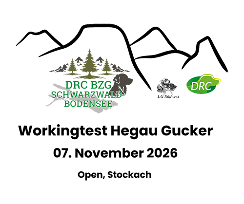 Workingtest Hegau Gucker O 26 1