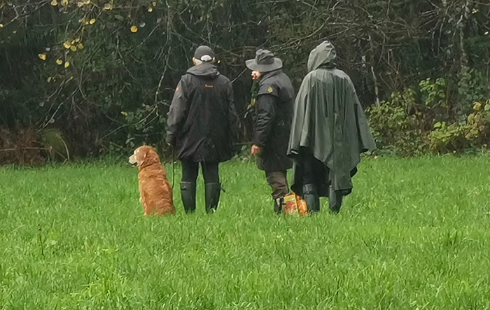 Feld Arbeit und ein Frauchen steht im Walde 3