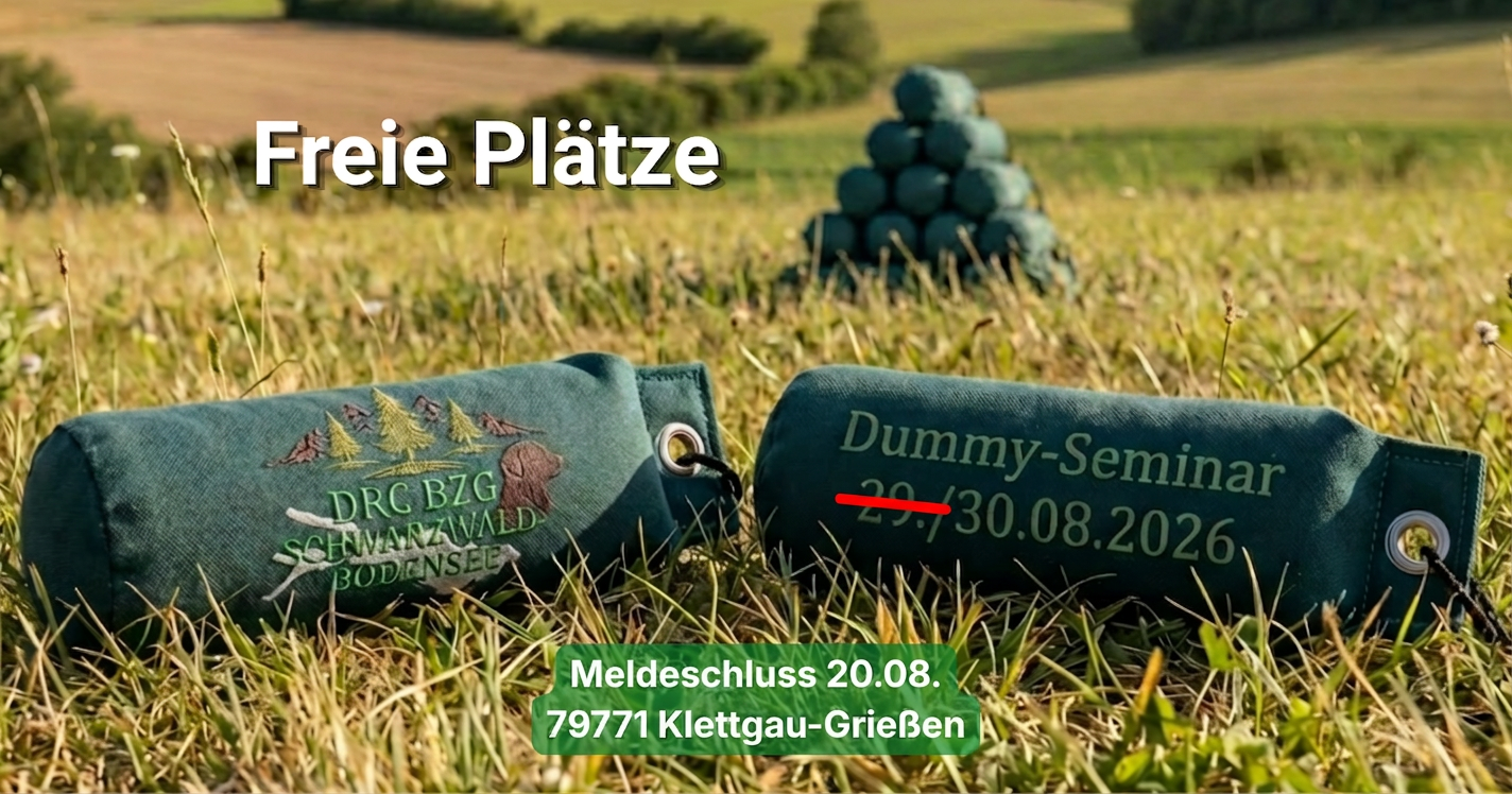DummySeminarBeateSchwarz0826